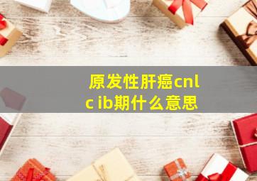 原发性肝癌cnlc ib期什么意思